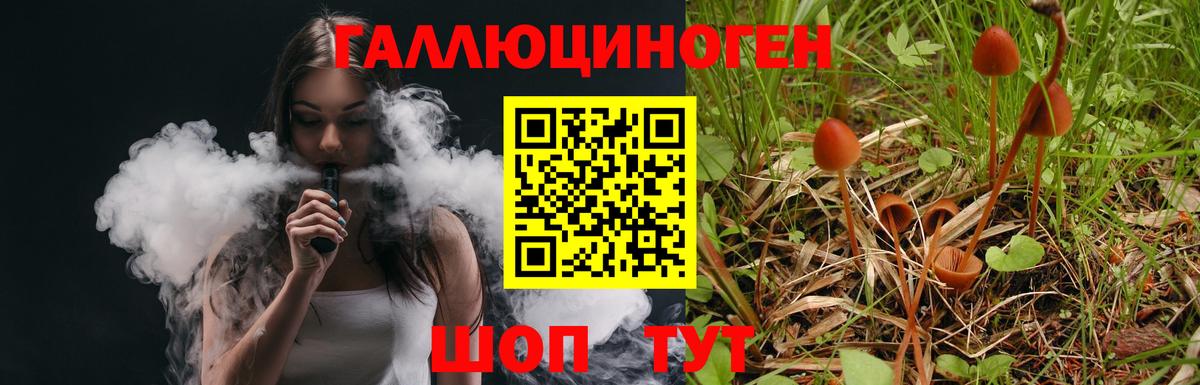 Галлюциногенные грибы GOLDEN TEACHER Первоуральск